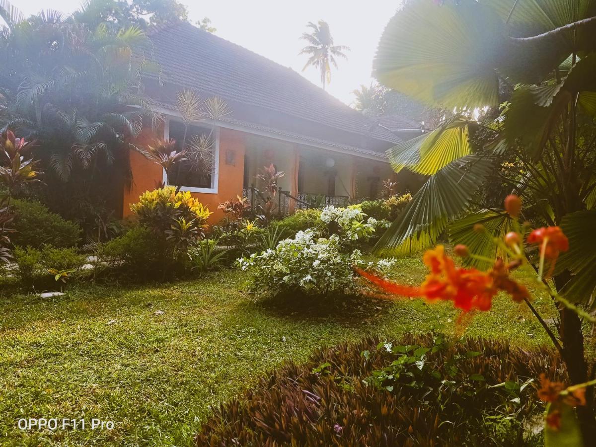 Country Side Inn Portuguese Guest House Cuelim 외부 사진